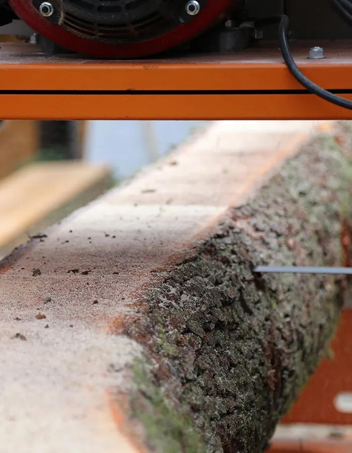 Sawn Timber Placeholder